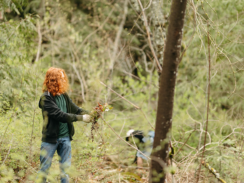 A Reed student stands in the canyon, surrounded by trees. They are wearing gloves and holding ivy they've just pulled from the ground.